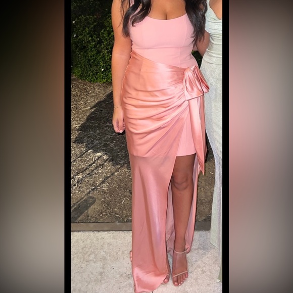 Marian Gown, Cinq a Sept, pink gown - Picture 4 of 4